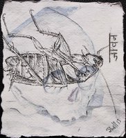 "Through Death, Life" Watercolour and Pen, 15cm x 15cm (2013)