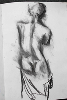 Venus (vi)