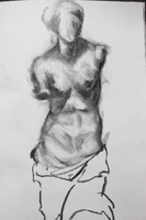 Venus (vii)