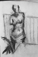 Venus (viii)