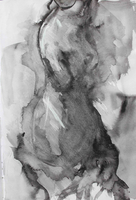 Venus (xii)